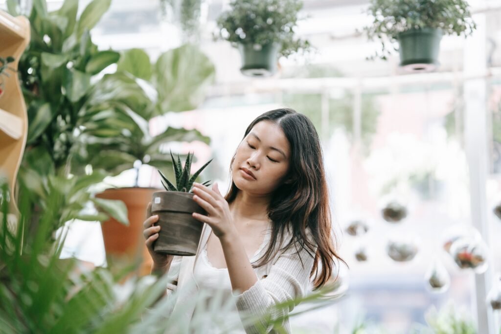 conversando com plantas